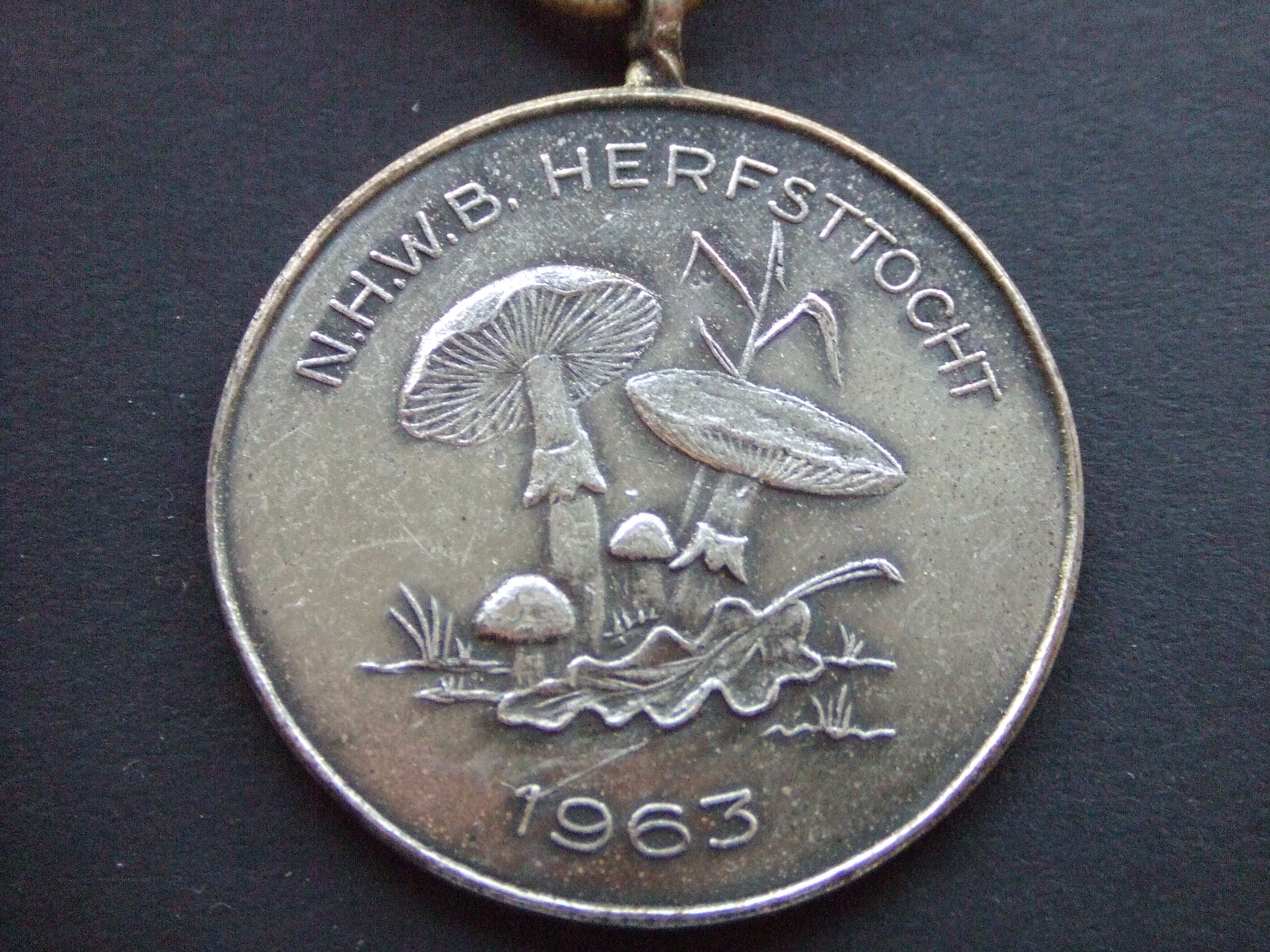N.H.W.B.(Noord-Hollandse Wandelbond) herfsttocht 1963 ( paddestoelen)